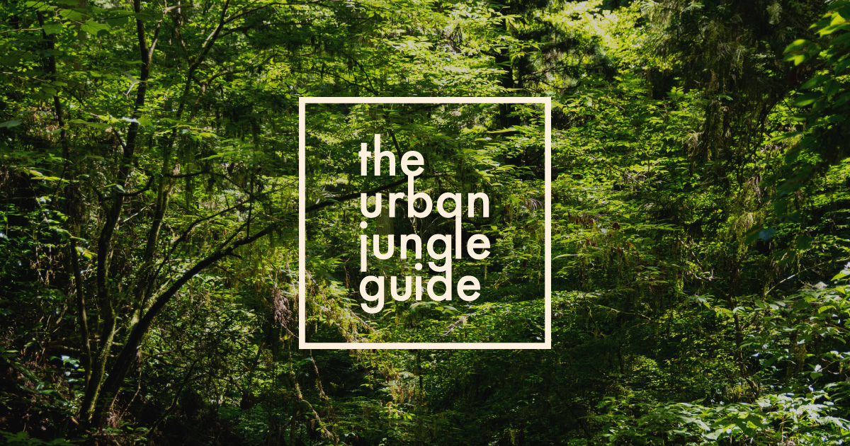 the urban jungle guide  観葉植物とカメラ