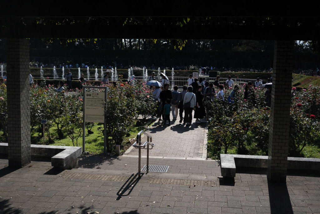 神代植物公園のバラ園の入り口。この日は日差しが強めでなかなkに暑かったですね